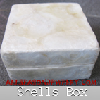 sea shell jewelry box bali